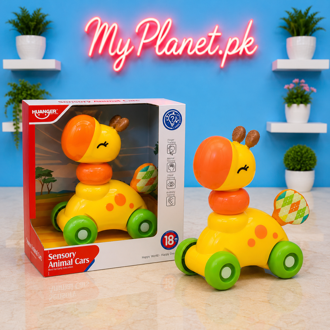 Huanger Sensory Animal Car Toy